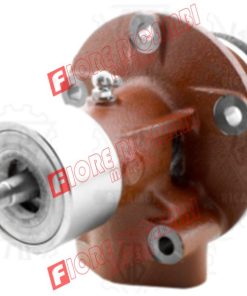 586017N - POMPA ACQUA SENZA PULEGGIA